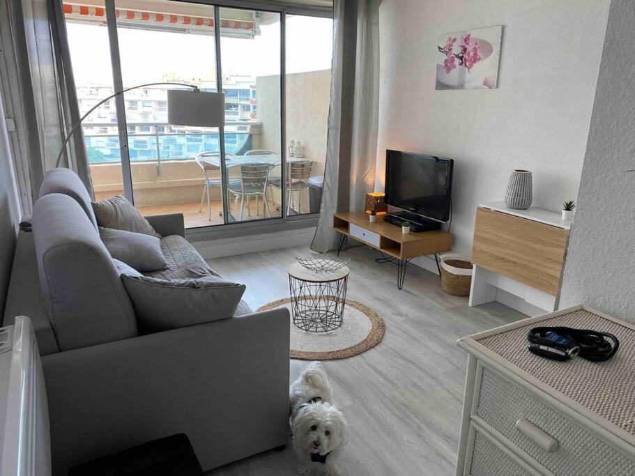 Joli Studio Vue Mer Et Port Mauguio Luaran gambar